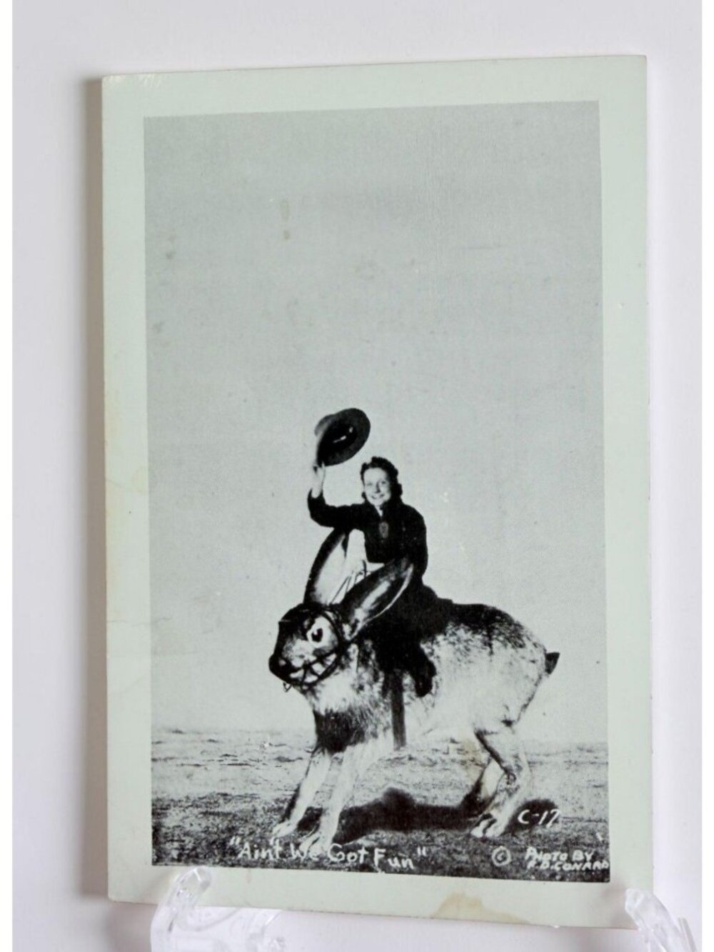 Vintage RPPC Postcard Jackalope Ride Early 20th Century Novelty Exaggeration USA - Picture 1 of 6